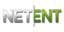 Net Ent logo